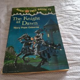 The Knight at Dawn