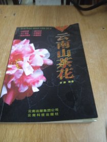 云南山茶花