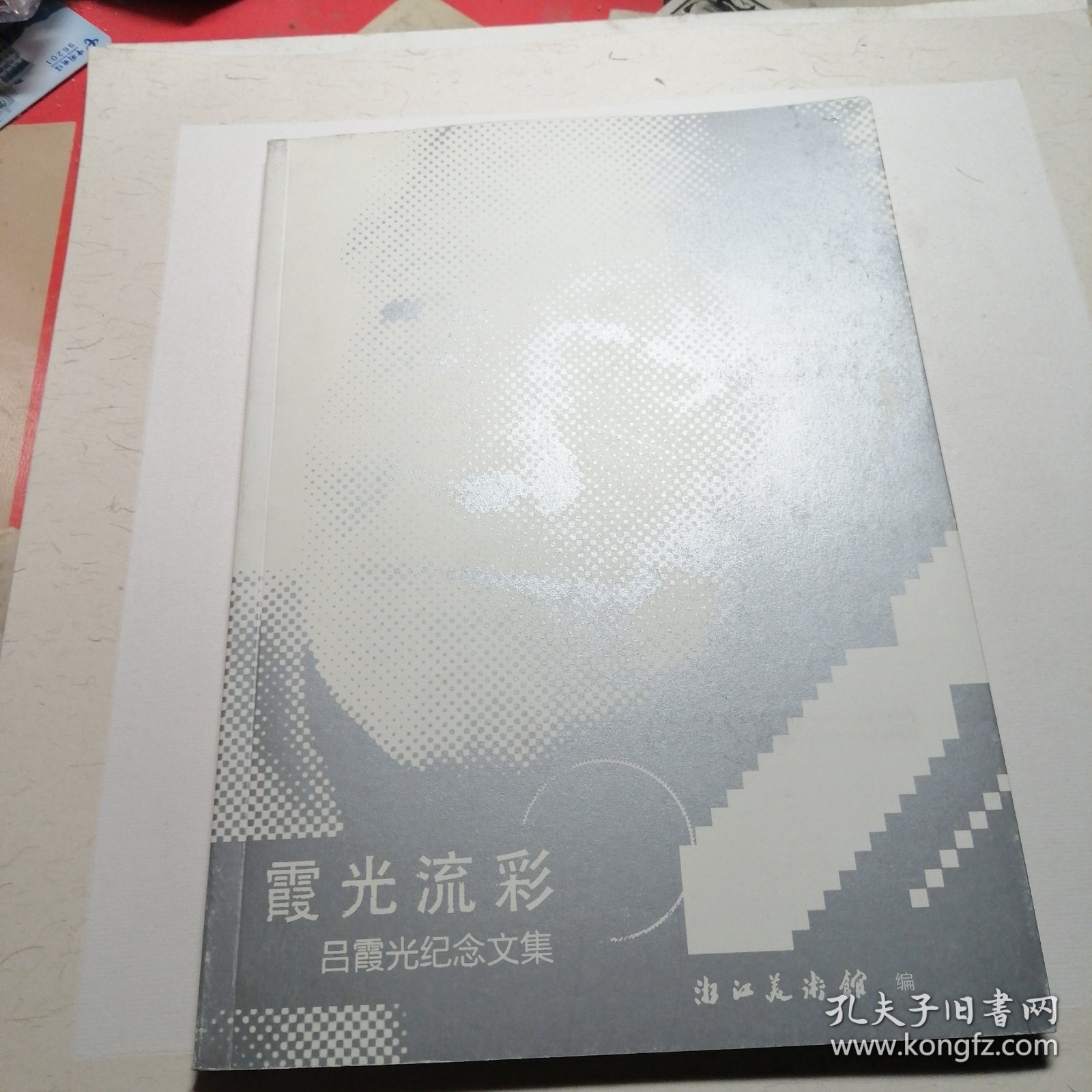 霞光流彩 吕霞光纪念文集