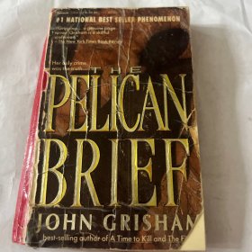 JOHN GRISHAN约翰·格里山BELICAN was the truth..BELICAN是事实。。