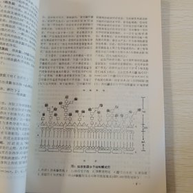 疼痛 医药卫生科技资料