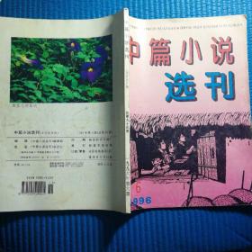 中篇小说选刊1996 6