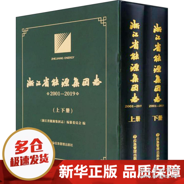 浙江省能源集团志(2001-2019上下)(精)