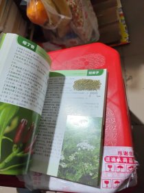 果实类中草药彩色图鉴