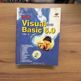 精通Visual Basic 6.0中文版