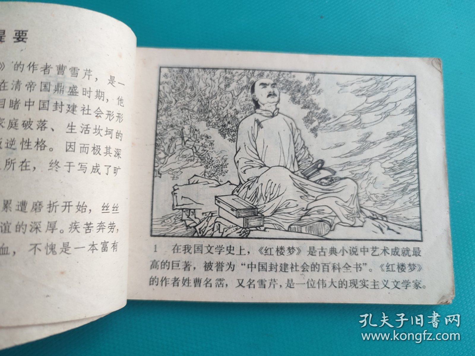 曹雪芹(岭南版)