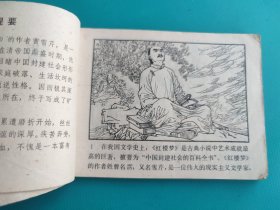 曹雪芹(岭南版)