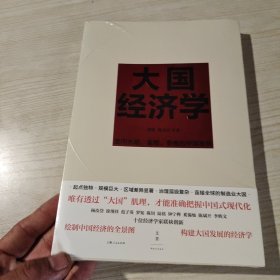 大国经济学：面向长期、全局、多维的中国发展