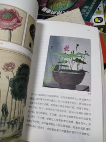 万物与花同