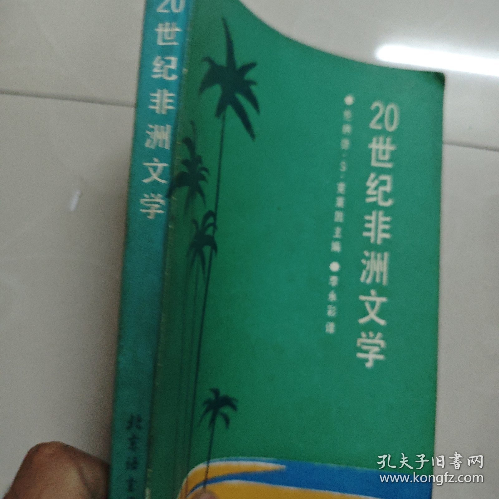 20世纪非洲文学