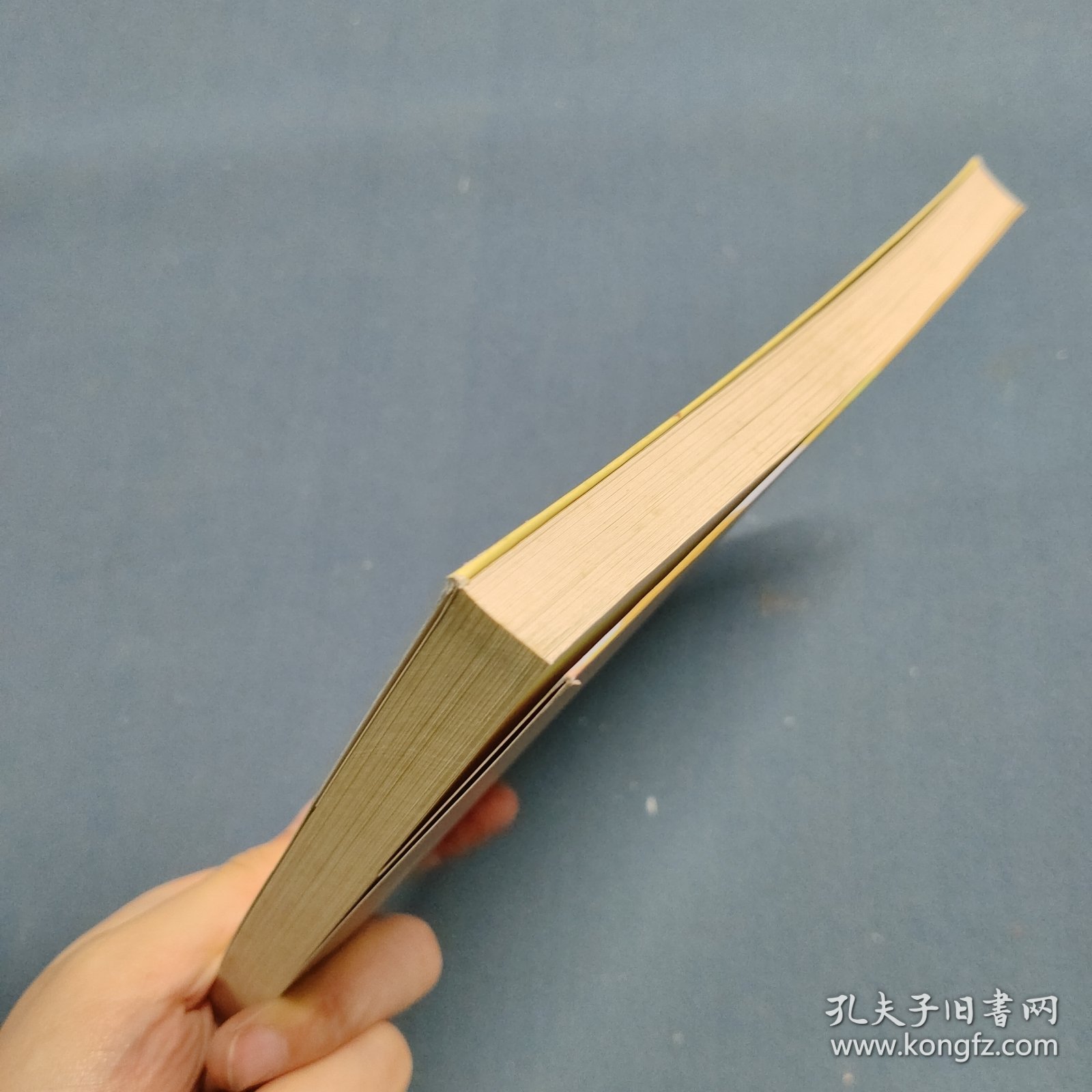 刑种与替刑制度