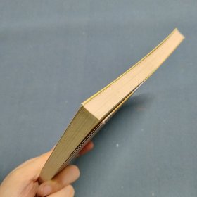 刑种与替刑制度