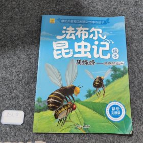 捕蝇蜂 合格的母亲（彩绘美图版）/法布尔昆虫记绘本
