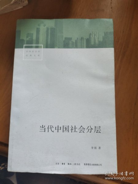 当代中国社会分层