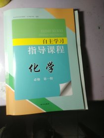 化学 自主学习指导 必修 第一册【一套全】