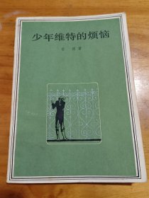 少年维特的烦恼