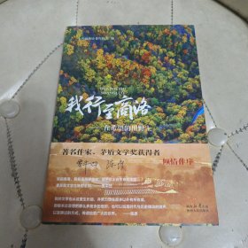 我行至商洛在希望的田野上