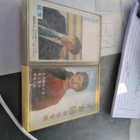 成方圆独唱专辑：癡情小子(磁带)：两盘合售