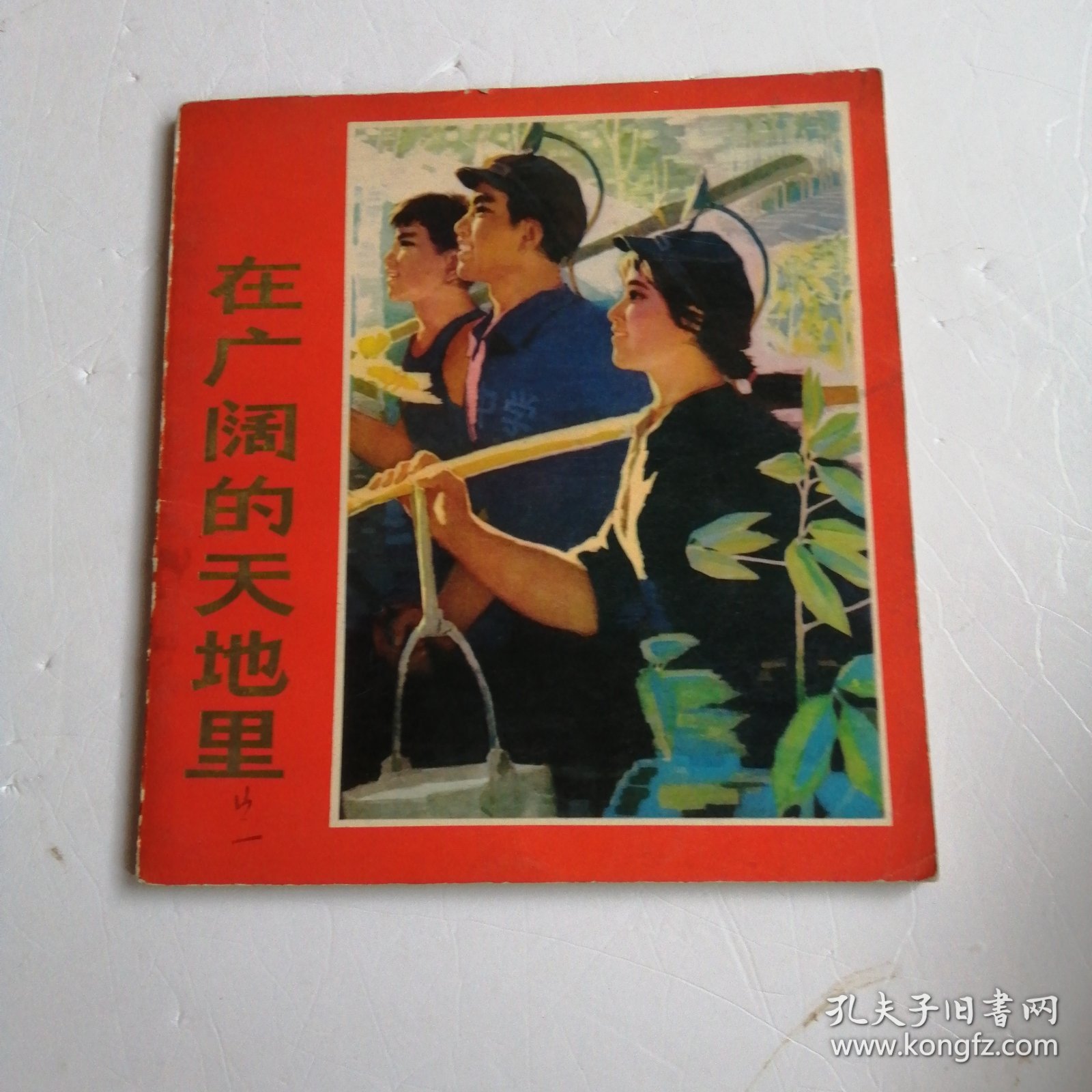 在广阔的天地里