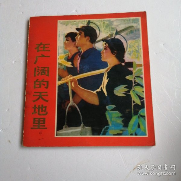 在广阔的天地里