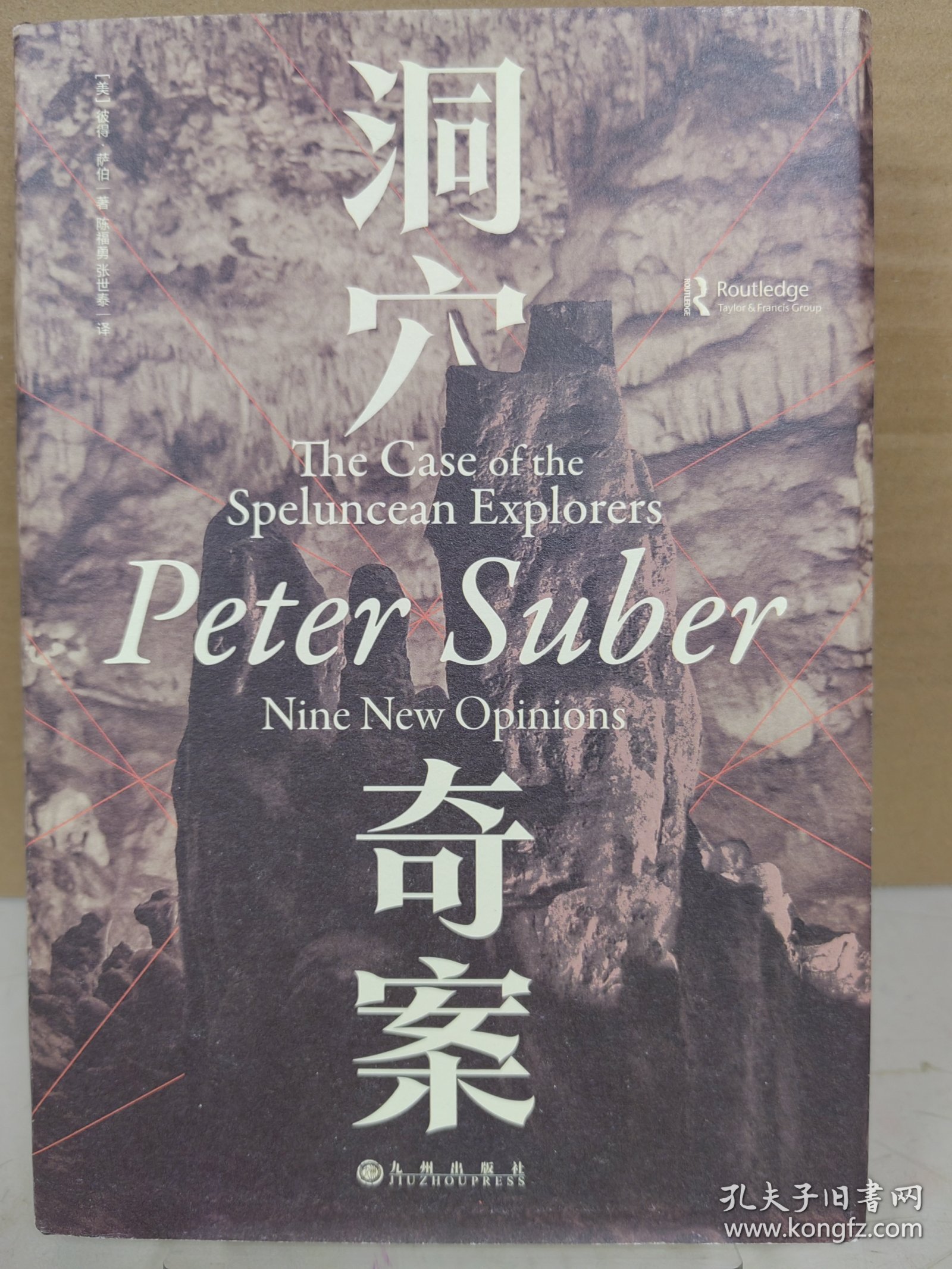 洞穴奇案 法哲学专业领域寓言式的经典文献，优秀跨学科通识教育的理想读本