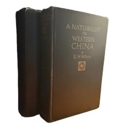 1913年伦敦初版，威尔逊 A Naturalist in Western China《一个植物学家在中国华西》--61幅老照片，大幅地图大开，二卷全