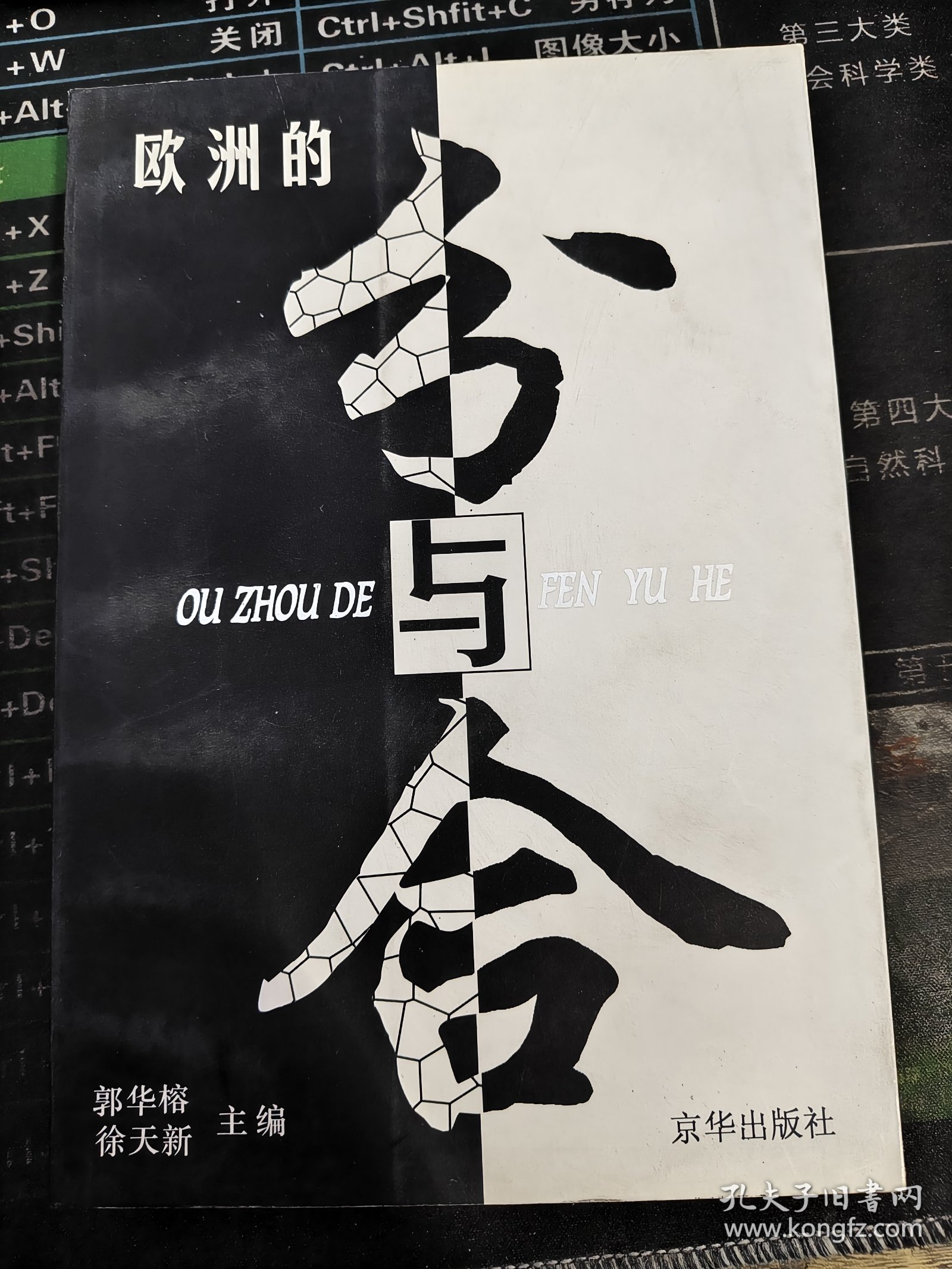 欧洲的分与合