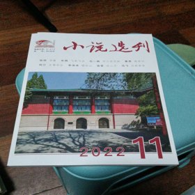 小说选刊2022.11