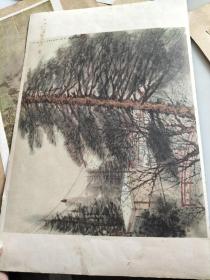 各画徐悲鸿作猫等11张合售