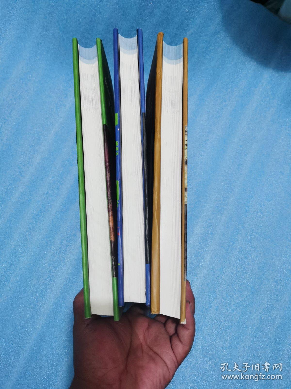 寻找油气的物探理论与方法（第1分册 基础篇）（第2分册 方法篇）（第3分册 争鸣篇）3册合售