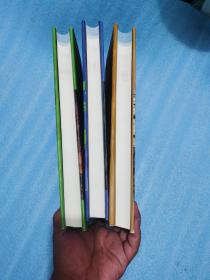 寻找油气的物探理论与方法（第1分册 基础篇）（第2分册 方法篇）（第3分册 争鸣篇）3册合售