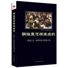 钢铁是怎样炼成的 普通图书/综合图书 (苏联)尼·奥斯特洛夫斯基|译者:刘军|绘画:(苏联)尤·涅普林茨夫 陕西师大 9787561348567