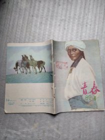 青春1982年4