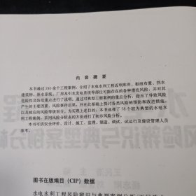 水电水利工程风险辨识与典型案例分析 精装