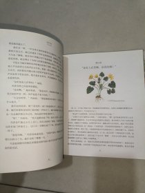 秘密花园