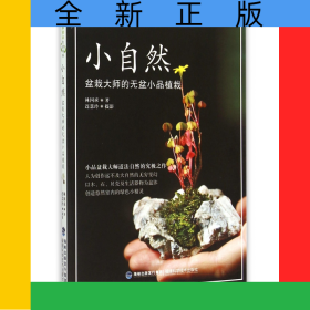 小自然(盆栽大師的無(wú)盆小品植栽)