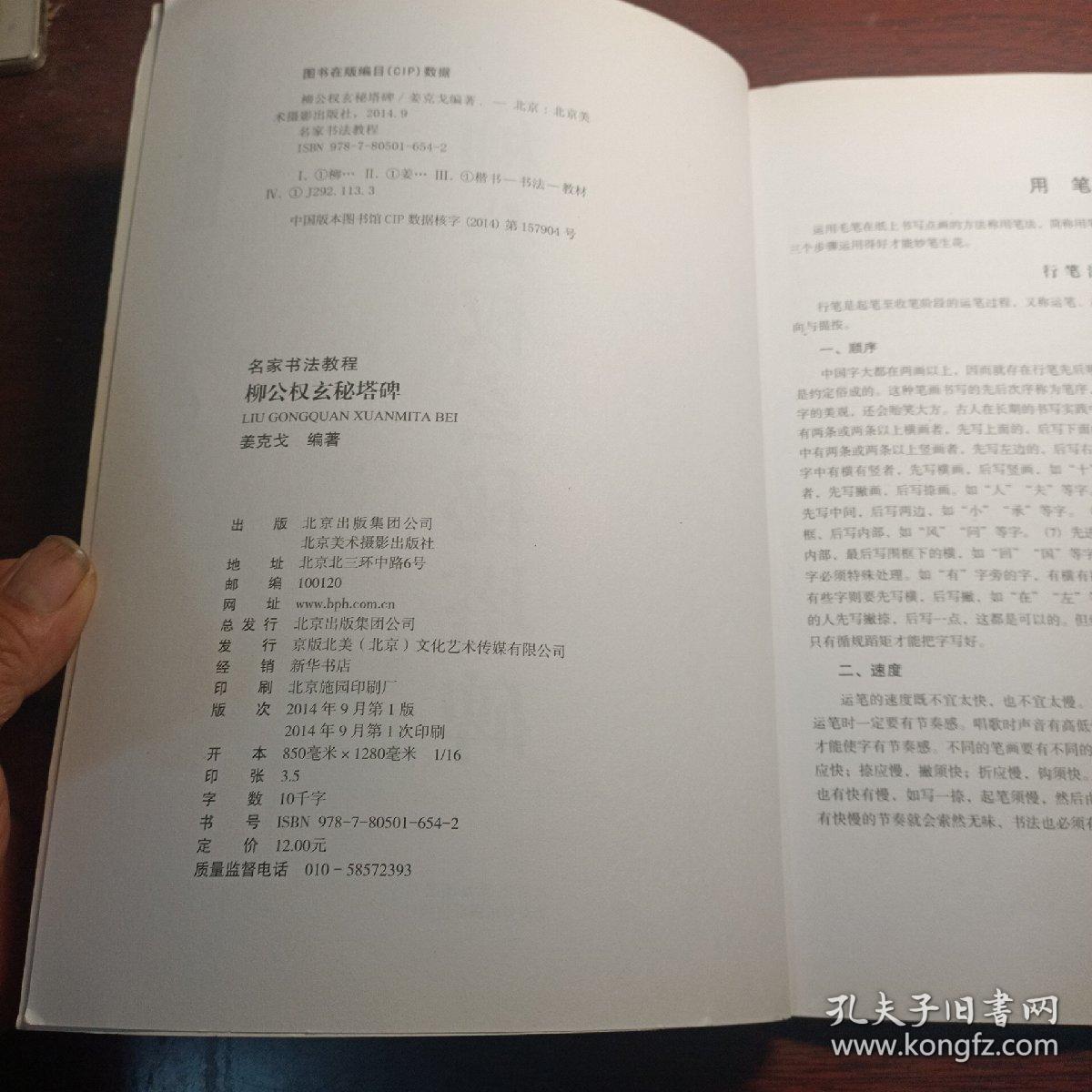 名家书法教程：柳公权玄秘塔碑