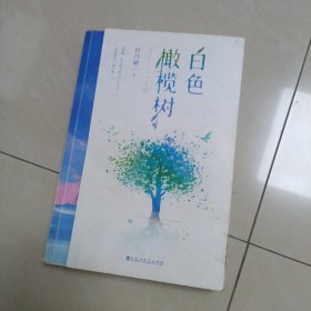 白色橄榄树 下