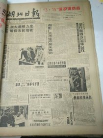 湖北日报1995年3月14日