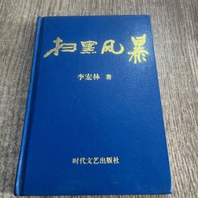 扫黑风暴：沈阳刘涌黑势力覆灭始末，精装
