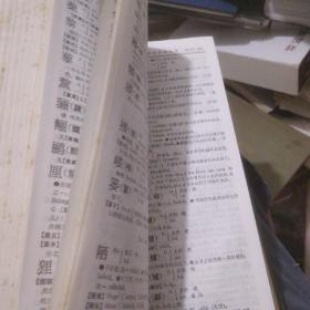 普通话闽南方言词典