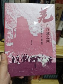 羌在汉藏之间：川西羌族的历史人类学研究（《华夏边缘》作者王明珂经典力作，川西羌族全解）