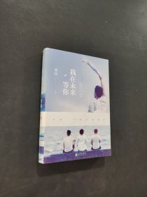 我在未来等你