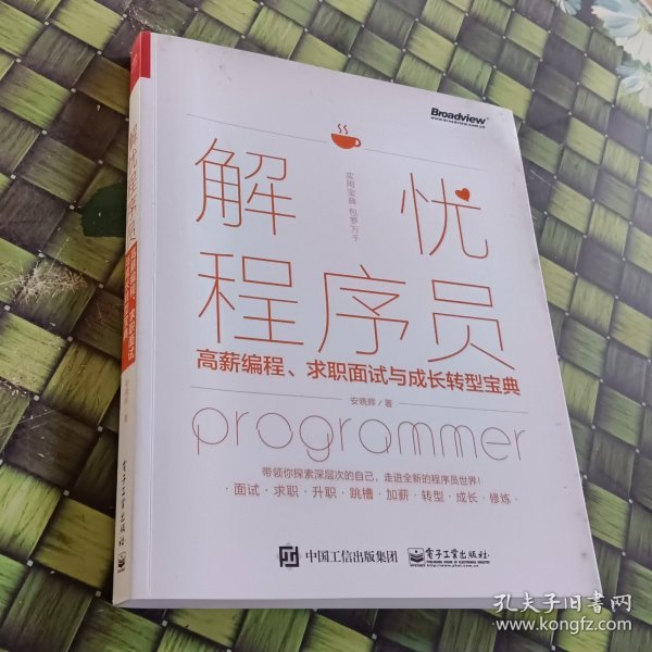 解忧程序员――高薪编程、求职面试与成长转型宝典