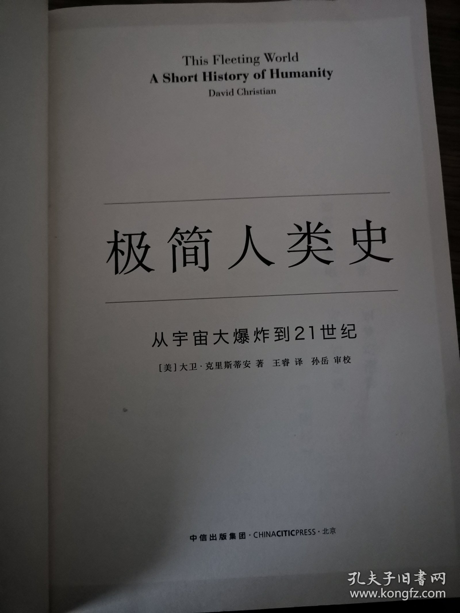 极简人类史：从宇宙大爆炸到21世纪