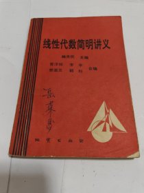 線性代數(shù)簡明講義