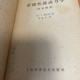 非线性波动力学 因果解释