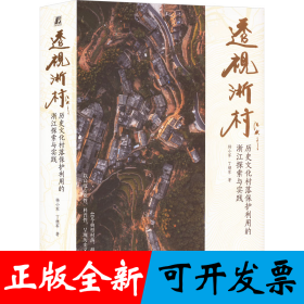 透视浙村 历史文化村落保护利用的浙江探索与实践 杨小军 丁继军