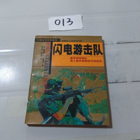 闪电游击队--美军特种部队深入越共控制区行动纪实