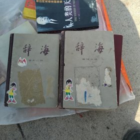 辞海 语词分册 上下